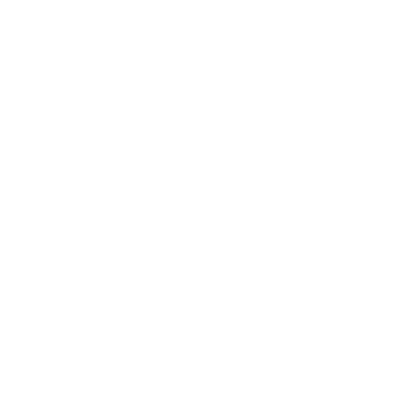 AWS Partner