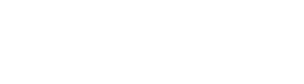 Databricks Partner